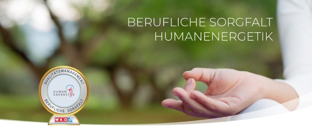 Berufliche Sorgfalt Logo